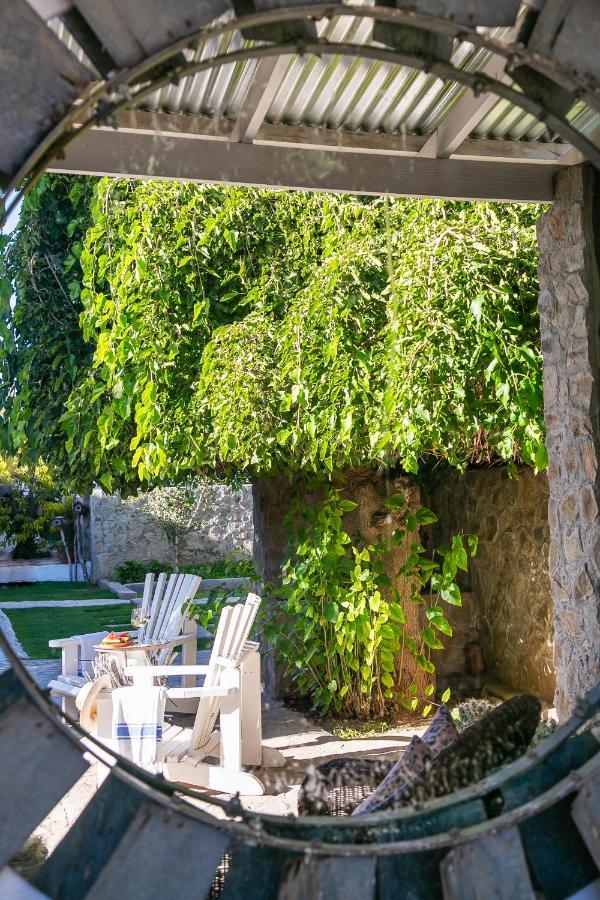Boutique Guesthouse Hanover Road 外观 照片
